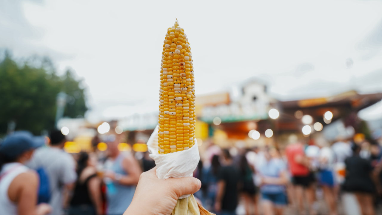 Minnesota State Fair food including corn on the cob and classic fair treats.