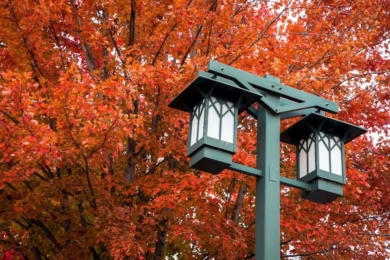 Fall apartment living near St. Louis Park and Minneapolis at Parkway 25.