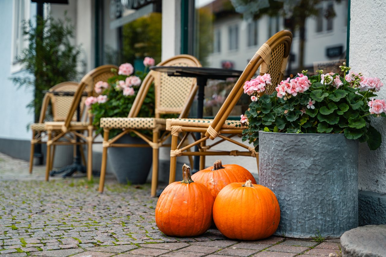 Three orange pumpkins outside a café with wicker chairs and pink flowers.