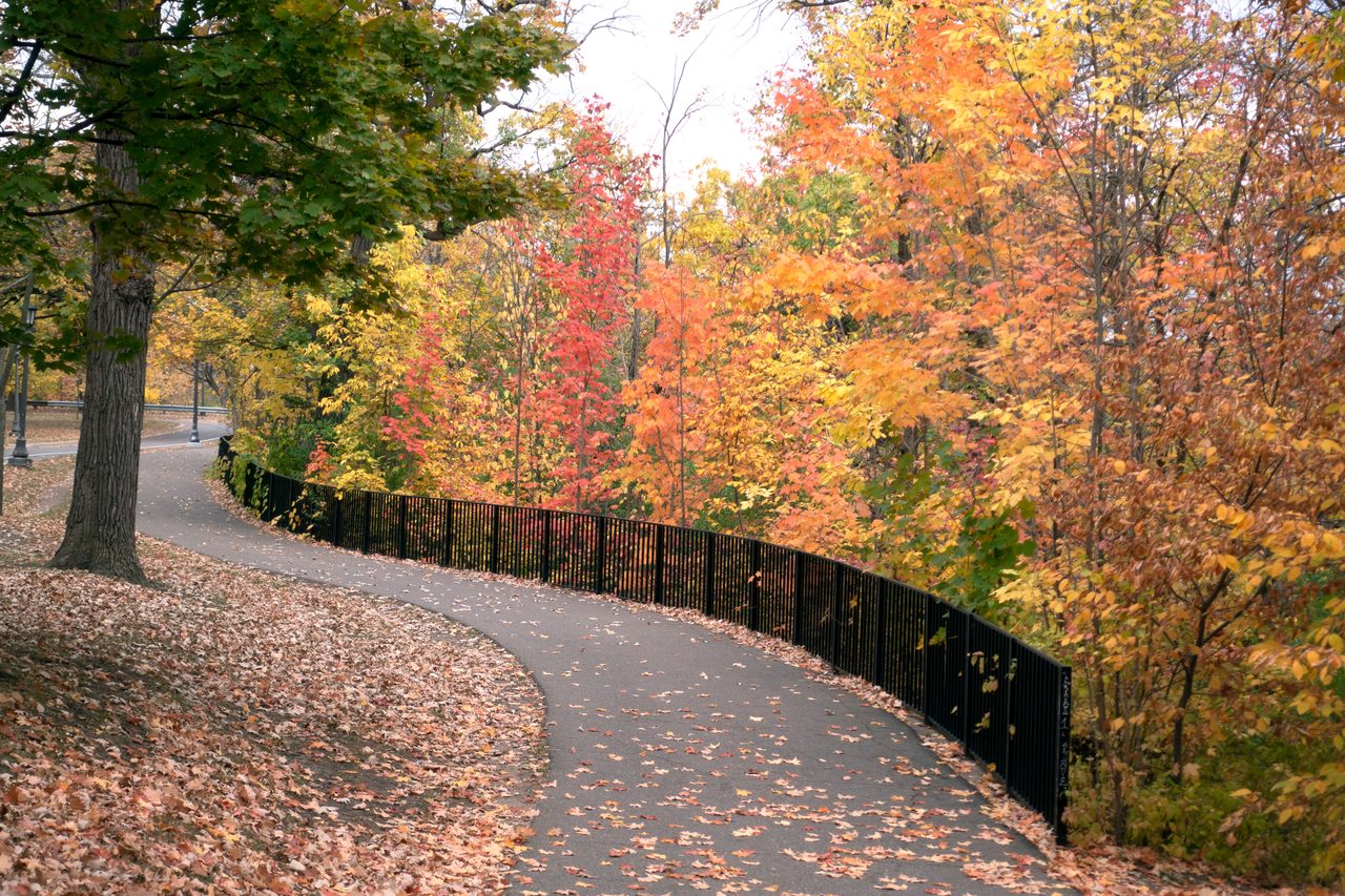 Curving paved walking trail surrounded by colorful red, orange, and yellow autumn trees, with fallen leaves along the path.